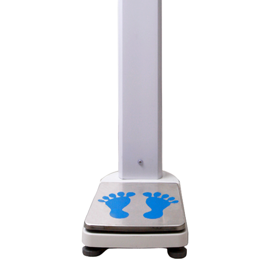 �O����y�������z�y