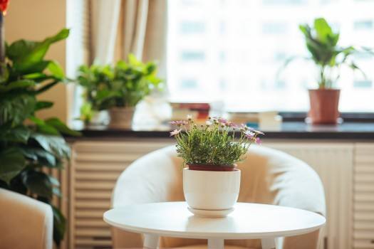 ����С��ģ�K�c�W�j���_������ͨ��