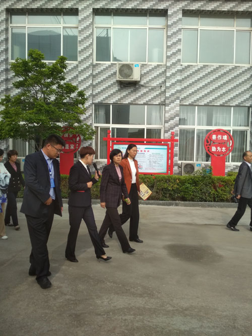 ɽ�|����ɭ�t���O��ɷ����޹�˾ 2019��ȫʡ�t�B�Y��ʾ���������M�����t�B�Y�Ϲ����F����