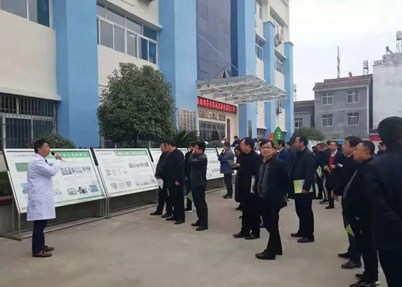 ������ؚ�������t���C�����^�h��